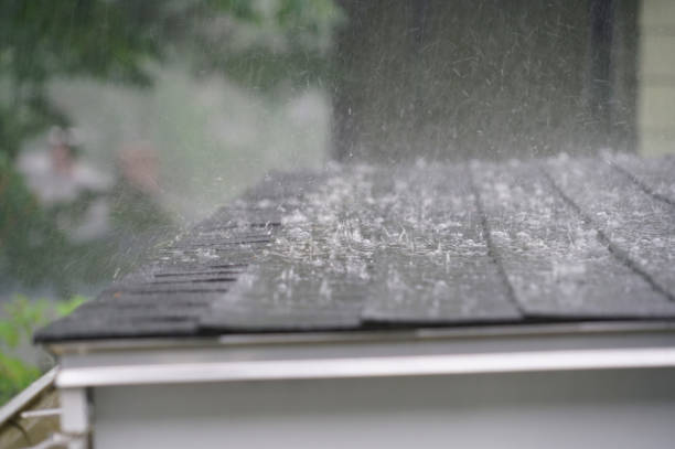 Best 4 Ply Roofing  in High Point, FL